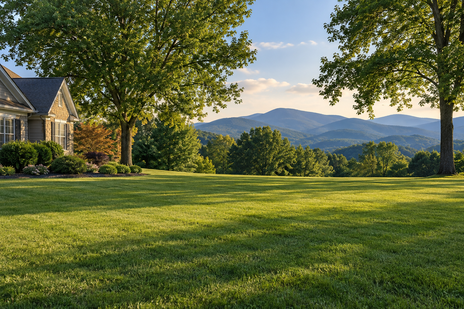 A maintained residential lawn framed by mature trees
